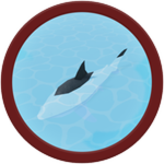 Shark Bait